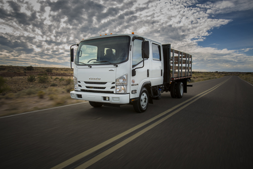 Isuzu Stake bed